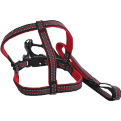 Nunbell Набор для собак s-DRS со светоотражающей нитью 31019-0265 2 предмета: поводок 120х2см/шлейка микс Nunbell Набор для собак s-DRS со светоотражающей нитью 31019-0265 2 предмета: поводок 120х2см/шлейка микс